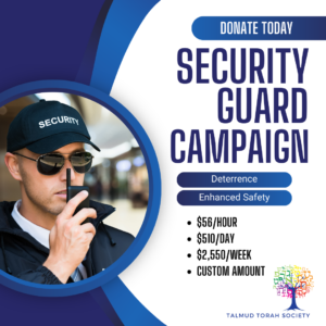 Security Guard Campaign