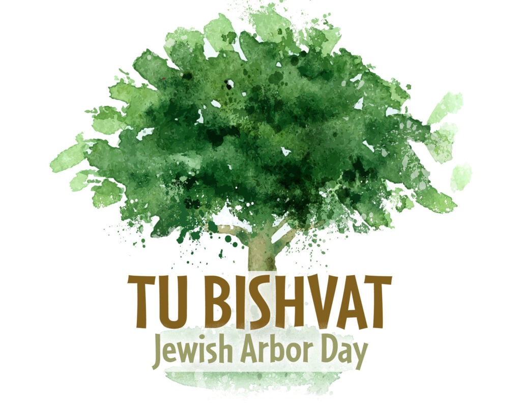 Talmud Torah Times Jan/Feb 2024 Newsletter Talmud Torah Society TuBiShvatGenericHeader Talmud Torah Society